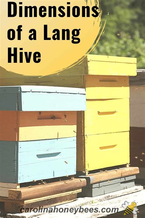 Langstroth Hive Dimensions {Ins and Outs} - Carolina Honeybees