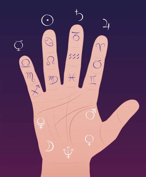 Palmistry map | Palmistry Map — Stock Vector © vectomart #5690095