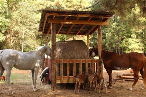 Image associée | Hay feeder for horses, Hay feeder, Horse farm ideas