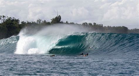 Greenbush Surf Spot | Mentawai Islands - Surf Indonesia