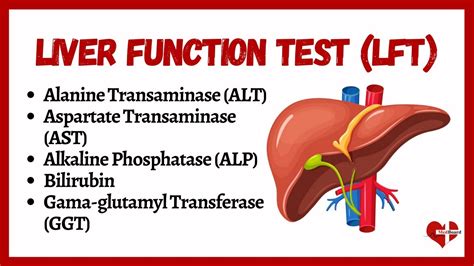 Liver Function Tests (LFTs) | liver function test interpretation ...