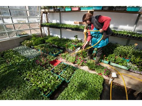 Greenhouse Watering System: An Essential Guide for Enthusiasts