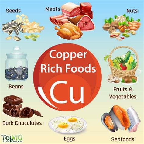 Foods High in Copper, Signs of Deficiency, & Health Benefits