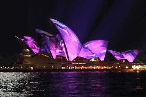 Sydney GIF - Find & Share on GIPHY