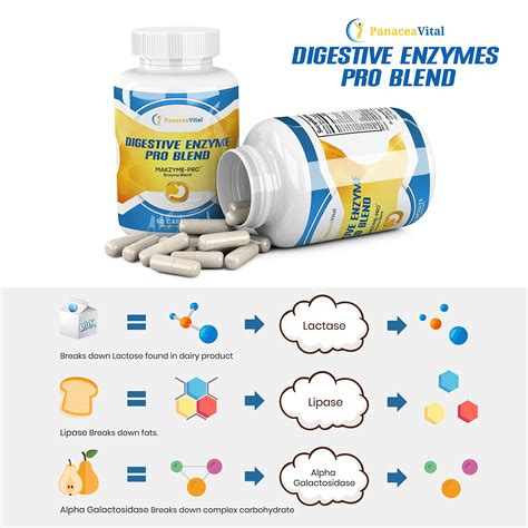 Digestive Enzyme Supplements Panacea Vital Premium Digestive Enzymes ...