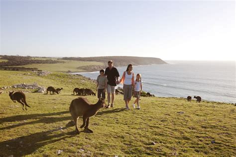 Hop To It: Kangaroo Island