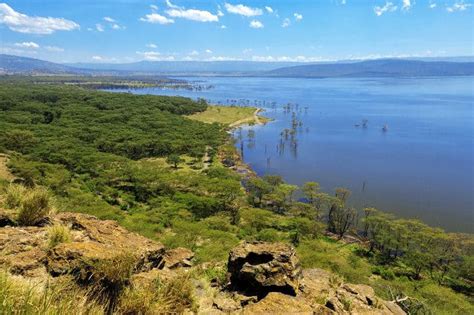 Lake Nakuru Safari Guide - Africa Freak