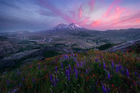 Top Ten Tips For Successful Wildflower Photography - Photo Cascadia