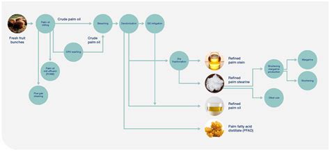 Palm oil processing and production process | Alfa Laval