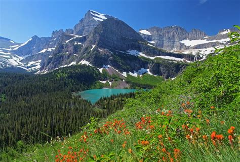 Le parc national de Glacier, un écosystème préservé | National park ...