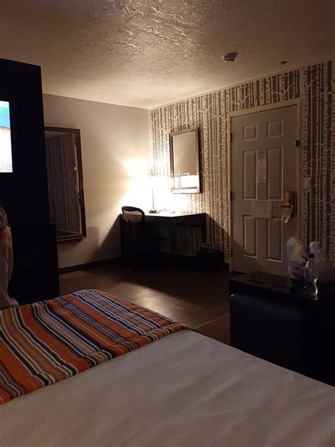 COMFORT SUITES CORVALLIS $114 ($̶1̶6̶2̶) - Prices & Hotel Reviews - OR