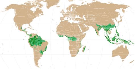 Rainforest World Map Of The Orchids