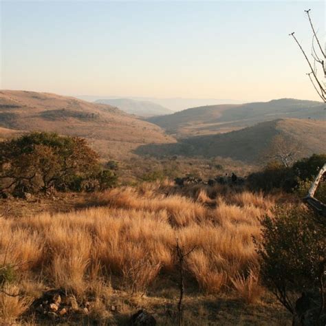 Fossil sites in the Cradle of Humankind – Malapa – Maropeng and ...