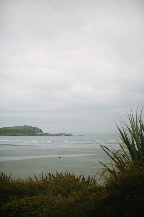 Paparoa National Park - Entouriste