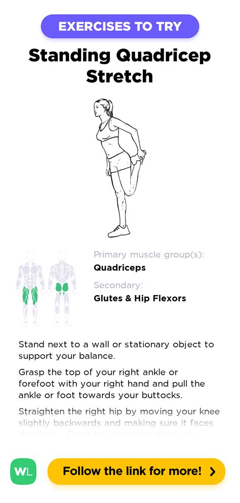 Standing Quadricep Stretch – WorkoutLabs Exercise Guide