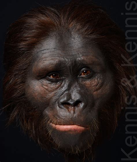 Kennis & Kennis Reconstructions | Human evolution, Ancient humans, Prehistoric