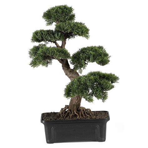 Cedar Bonsai 24" Silk Plant | Nearly Natural"