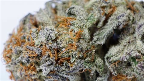 Sugar Cookies Strain | Buy Sugar Cookies Weed Online At BudLyft