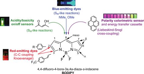 Basic molecular structure of the BODIPY dye. Schematic view of the... | Download Scientific Diagram