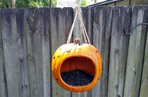 Easy DIY Pumpkin Bird Feeder | Fall Crafts