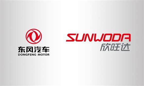 Sunwoda - Sunwoda Electronic Co., Ltd.