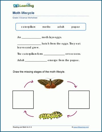 Animal Life Cycles Worksheets | K5 Learning