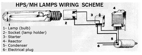 13+ metal halide ballast wiring diagram - JayaLockie