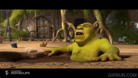 Shrek Gif - GIFcen