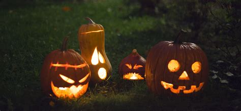 Halloween Pumpkins | Set of halloween pumpkins from my garde… | tausend und eins, fotografie ...
