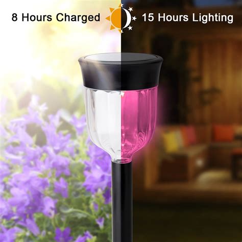 Solar Pathway Lights Color Changing | SMY Lighting