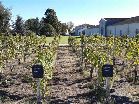 Quick Guide To The Route Des Châteaux, Médoc Wine Region | France ...