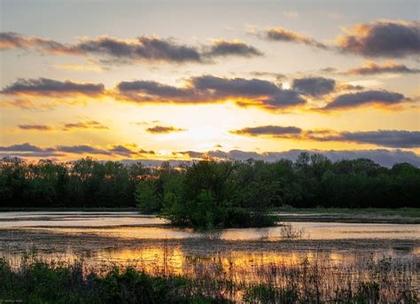 Marshland Sunset | Nathan Welch | Flickr