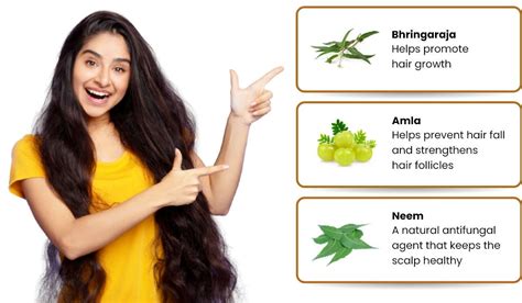 Ayurveda Hair Fall and Growth treatment medicine retailer in India