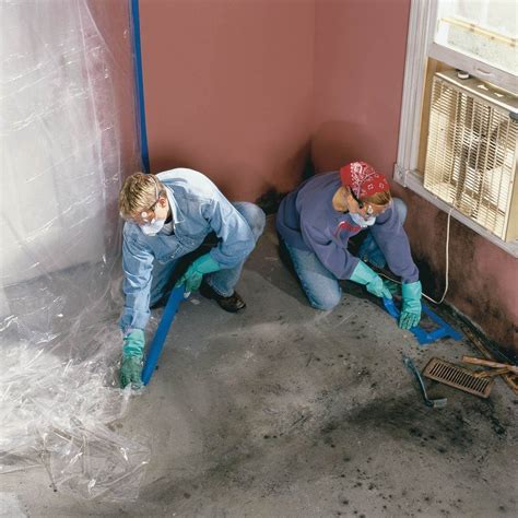 How to Test for Mold | The Family Handyman