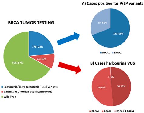 Cancers | Free Full-Text | Tumor BRCA Testing in Epithelial Ovarian ...