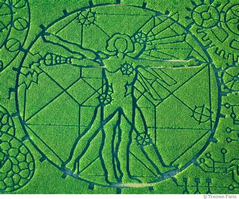 Creative Ideas in a Cornfield | Corn maze, Maze, Crop circles