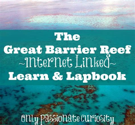 รวมกัน 101+ ภาพ Great Barrier Reef เกิดขึ้นได้อย่างไร ความละเอียด 2k, 4k