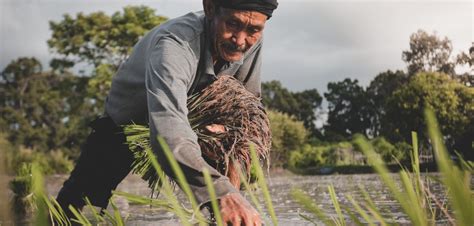 Early history of agrarian reform program in the philippines - kitssno