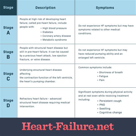 Heart Failure Medication Chart | Hot Sex Picture