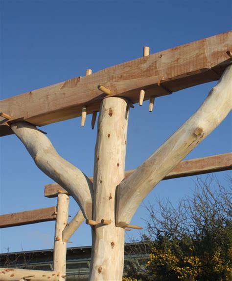 Traditional Timber Frame Joints - Centre for Alternative Technology