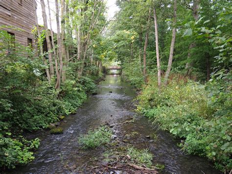 Dender river flowing through Pairi Daiza, between Siberian crane exhibit and Koala house, 2020 ...