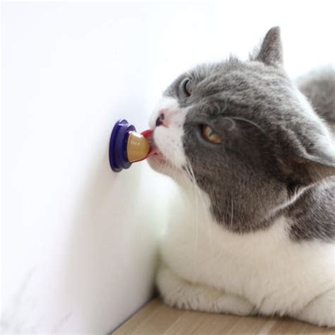 Healthy Cat Treat - 3pcs – Sugar Pet Shop