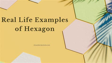 Hexagon Shape Real Life