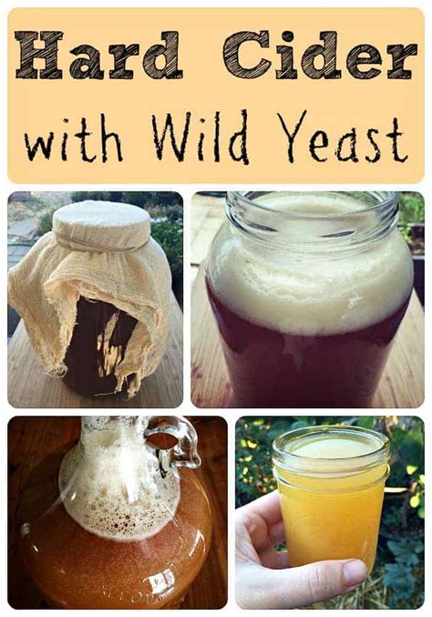 How to Make Hard Cider With Wild Yeast