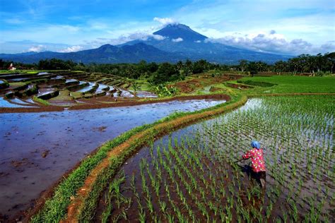 26 Best Things To Do In Java [Indonesia] In 2023