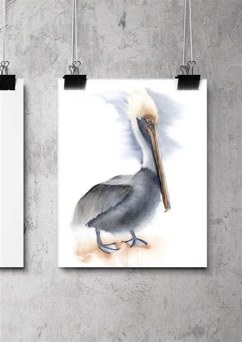 Brown pelican Set of 4 wall art watercolor birds giclée prints | Etsy