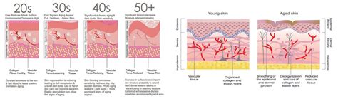 Anti Aging • Treatment Clinic • Skin Care • Nascent Clinic