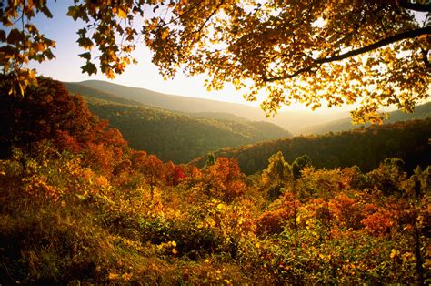 The Best US National Parks for Fall Foliage