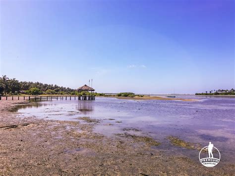 Bird watching in Kalpitiya lagoon - Premium Travelog