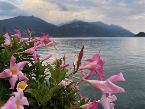 Menaggio - Lake Como - Travel with Wendy